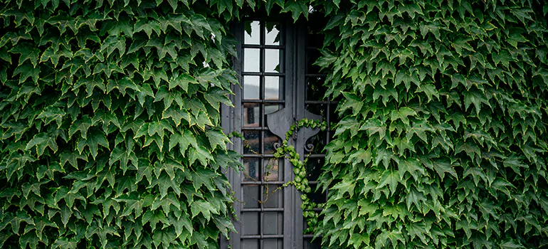 Garden Gate Repair in Pittsburg, CA