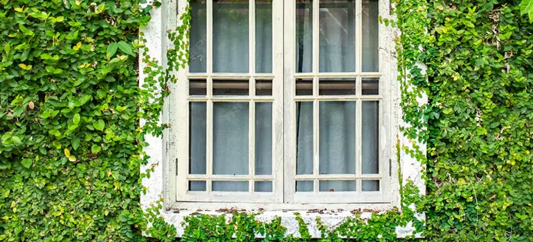 Garden Window Repair Near Me in Pittsburg, CA