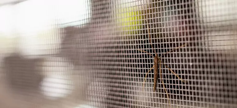 Repair Mosquito Mesh For Windows in Pittsburg, CA