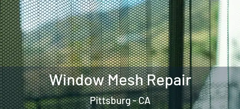  Window Mesh Repair Pittsburg - CA