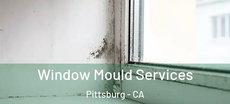  Window Mould Services Pittsburg - CA